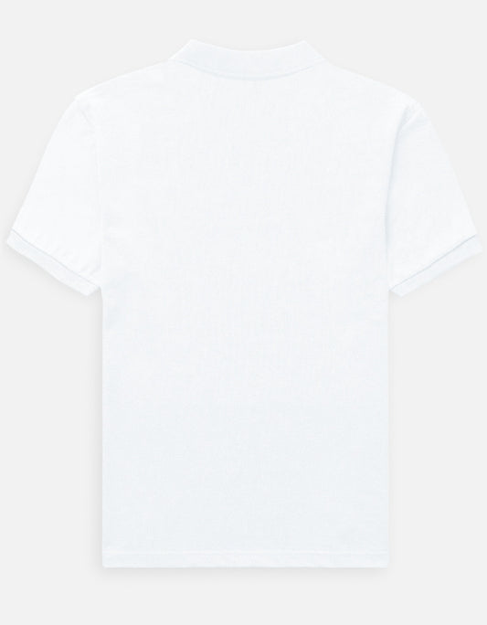 Back_3_c_1.jpg